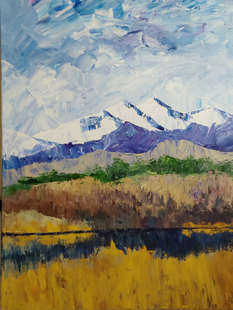 AVAILABLE $200 18x24 stretched/splined canvas Mt Meeker/Long's peak from Longmont/Loveland area
