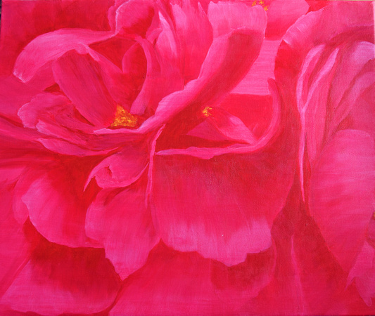 SOLD! Available as a print only. Peony.